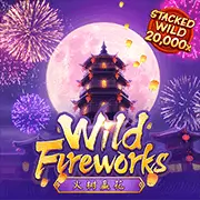 Trang Chủ 34 wild fireworks
